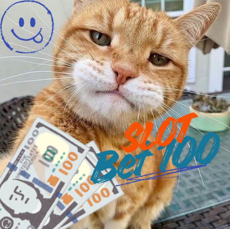 Slot Bet 100 dengan Teknik Bermain Simpel dan Efektif